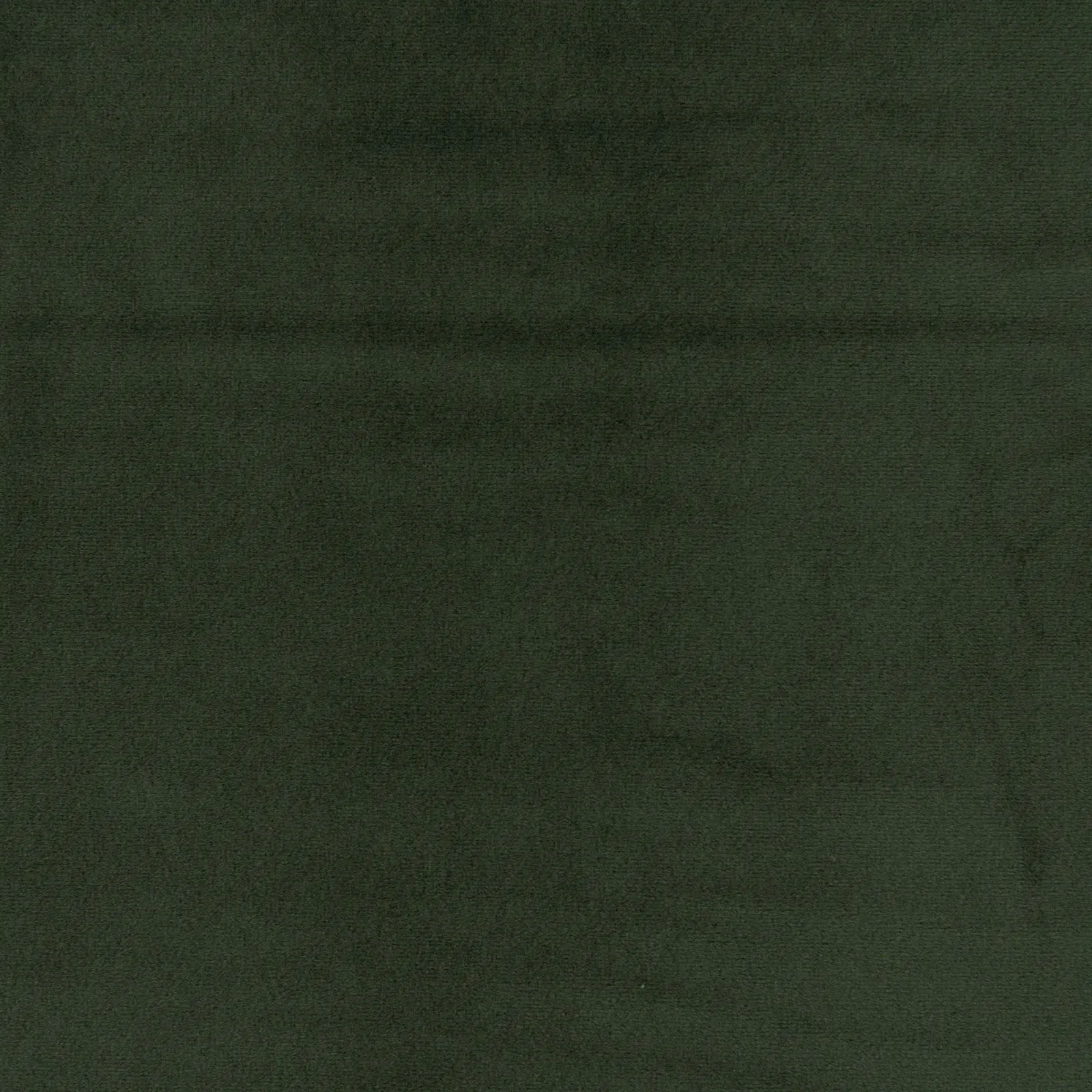 paradise - pine green - 1483342-01