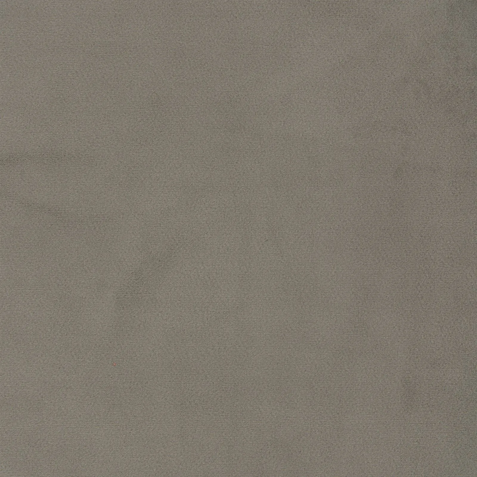 paradise - taupe - 1483320-01