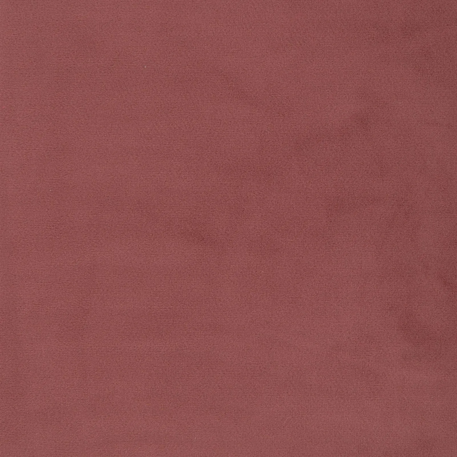 paradise - salmon - 1483352-01