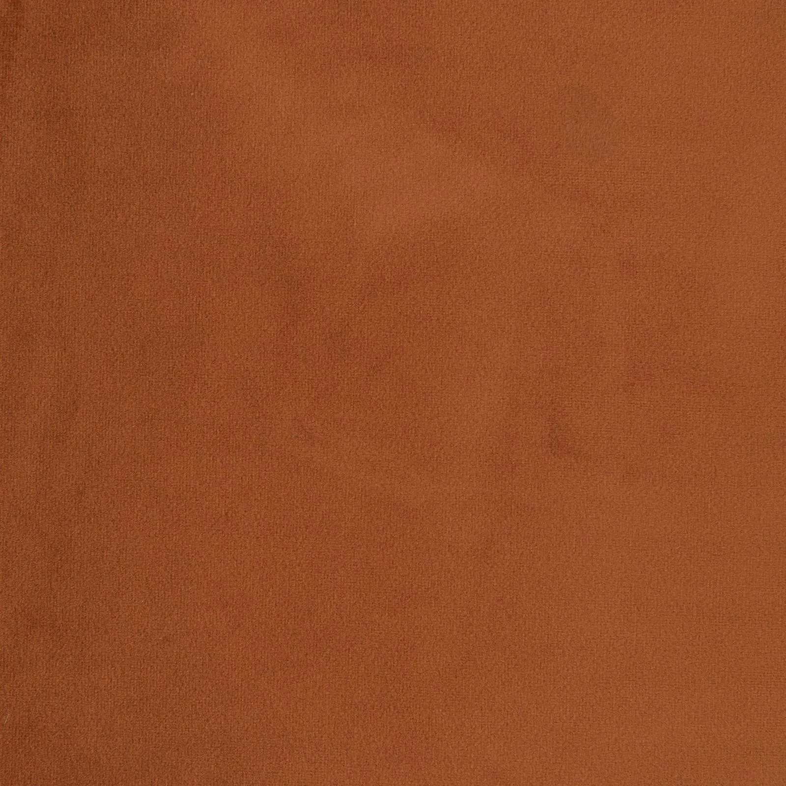 paradise - terracotta - 1483346-01