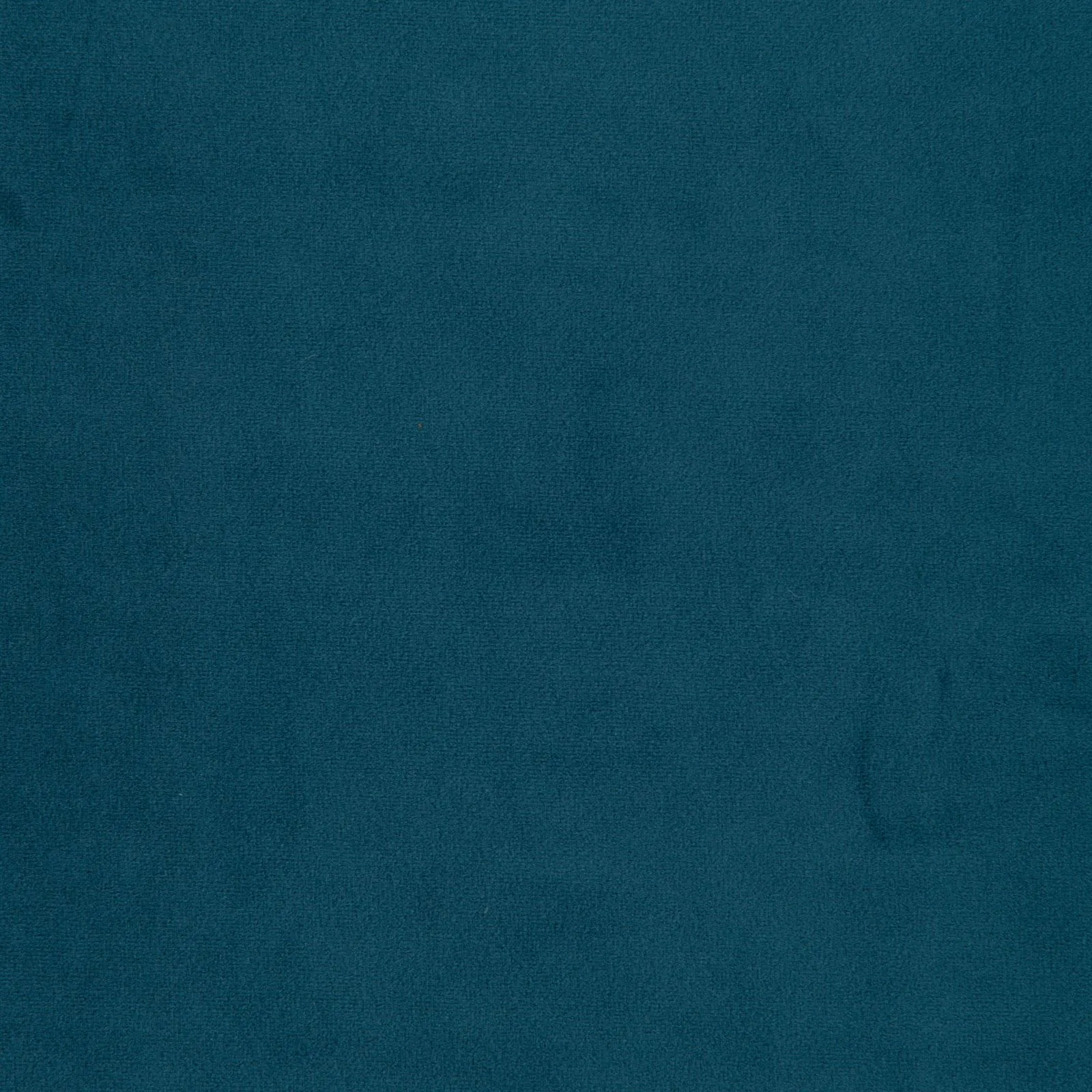 paradise - sky blue - 1483350-01