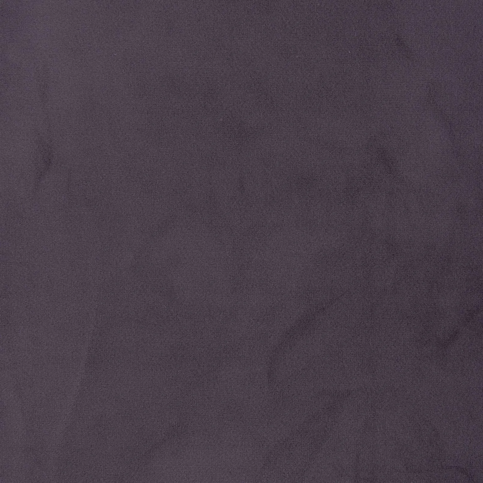 paradise - violet - 1483373-01
