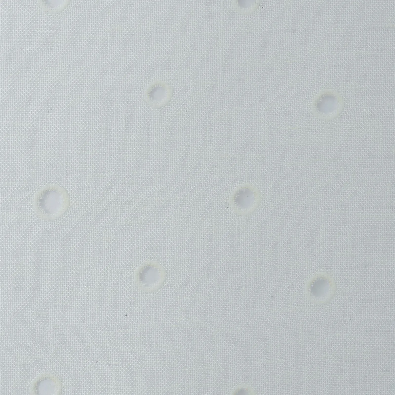 punctum - natur - 6741211-01