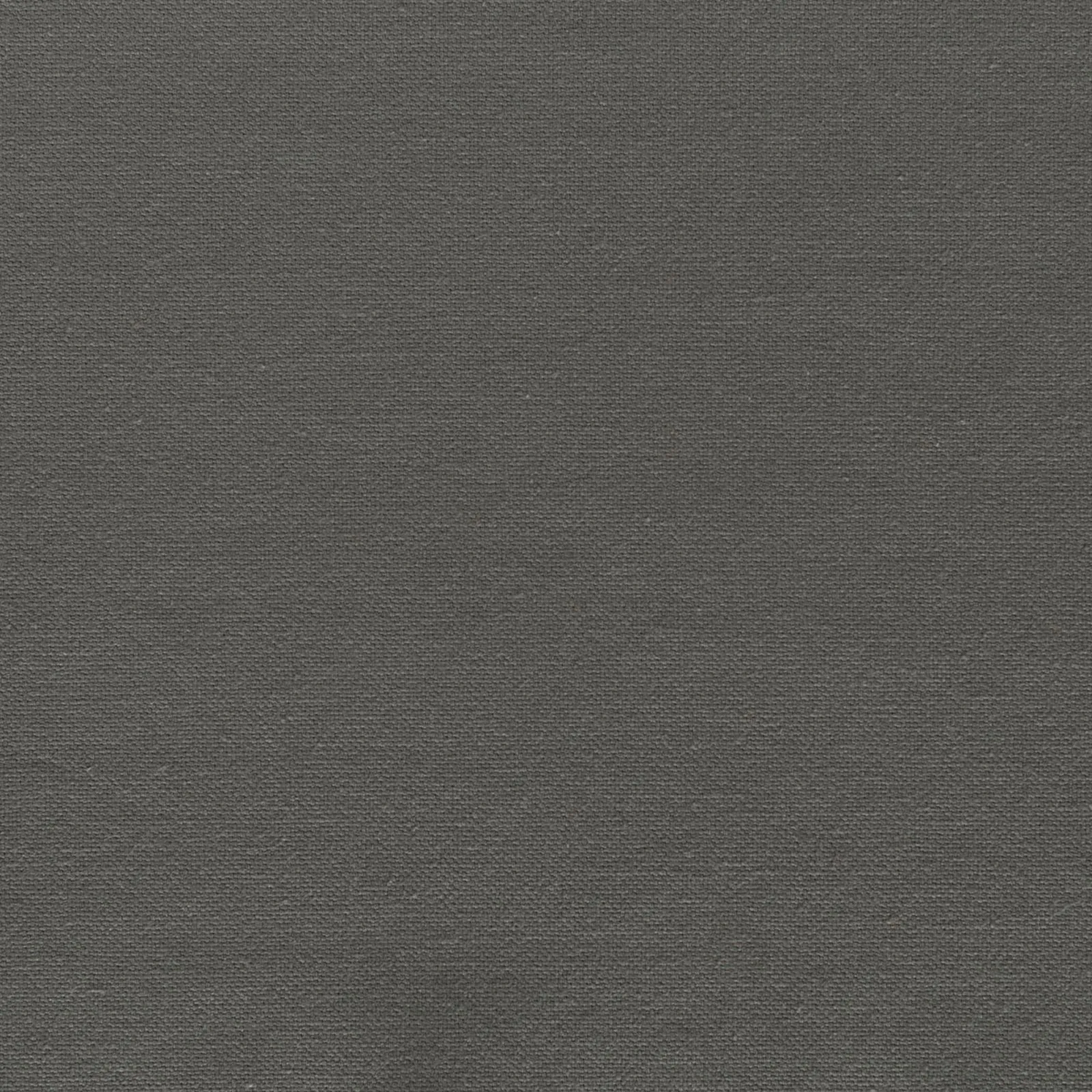 solid - elephant - 7182609-17