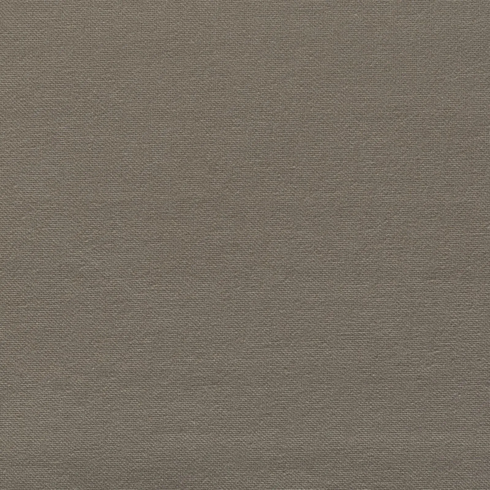 solid - chocolate - 7182609-02