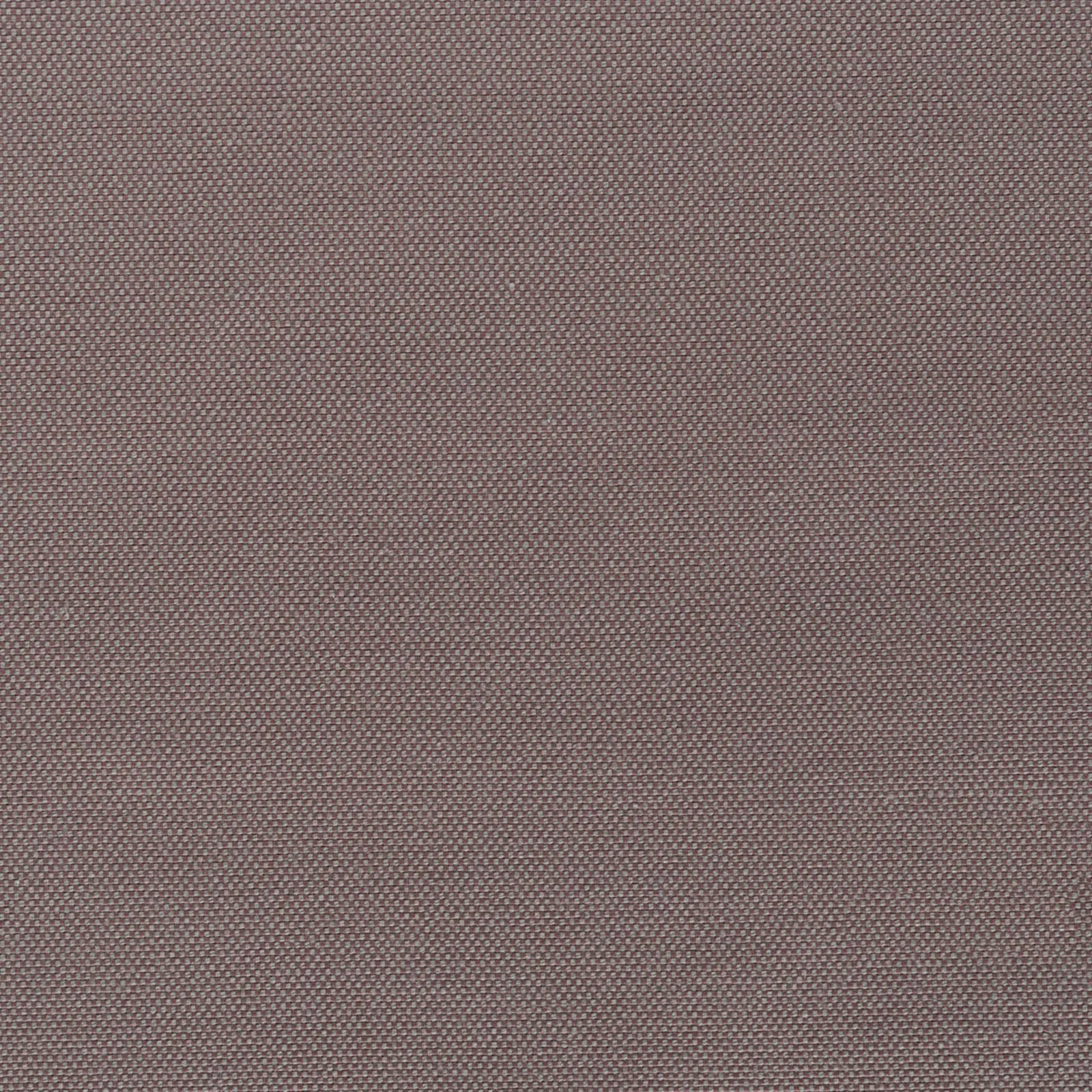 strong - ancient pink - 7802609-18