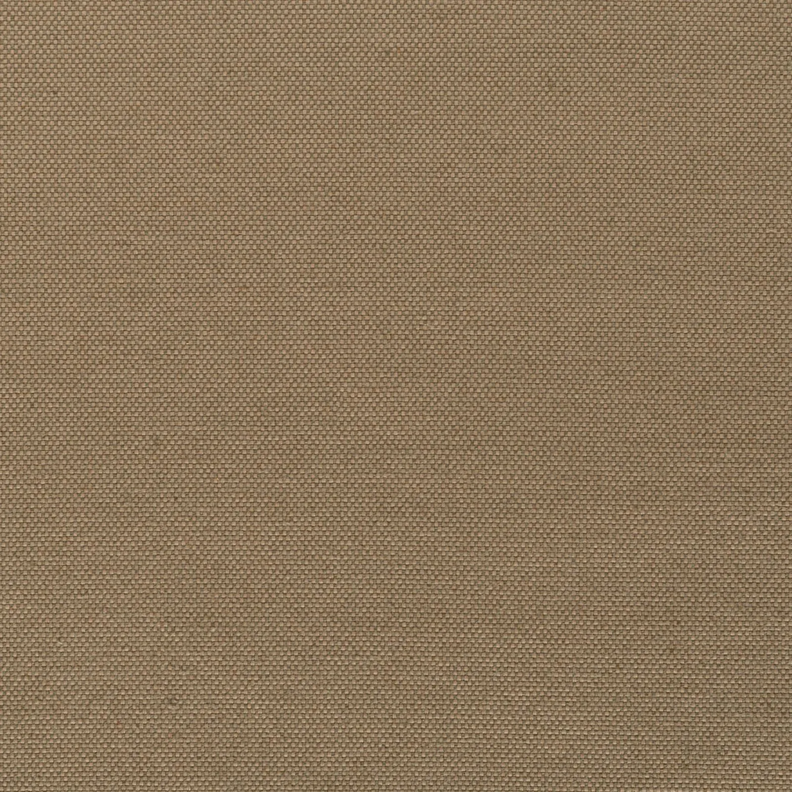 strong - bronze - 7802609-09