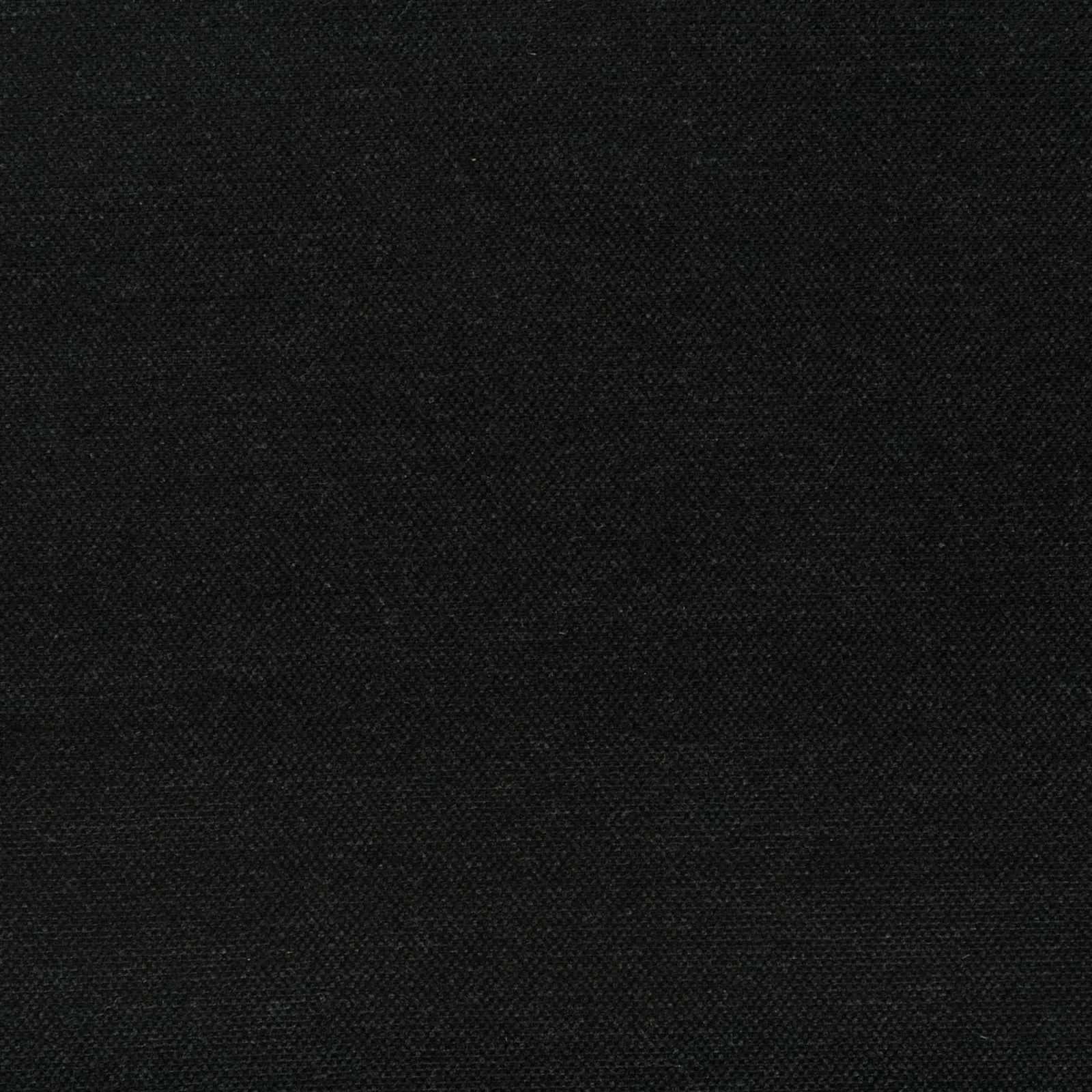 strong - black - 7802609-17