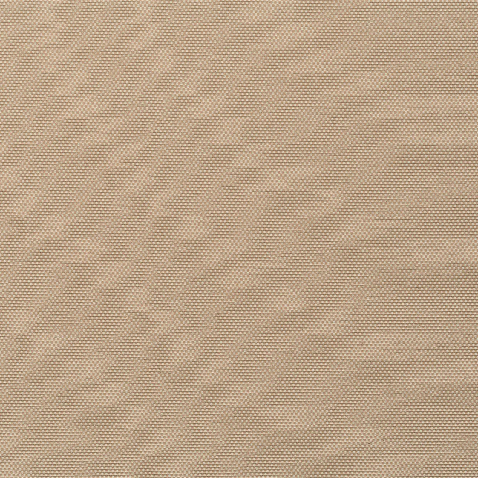 strong - apricot - 7802609-07