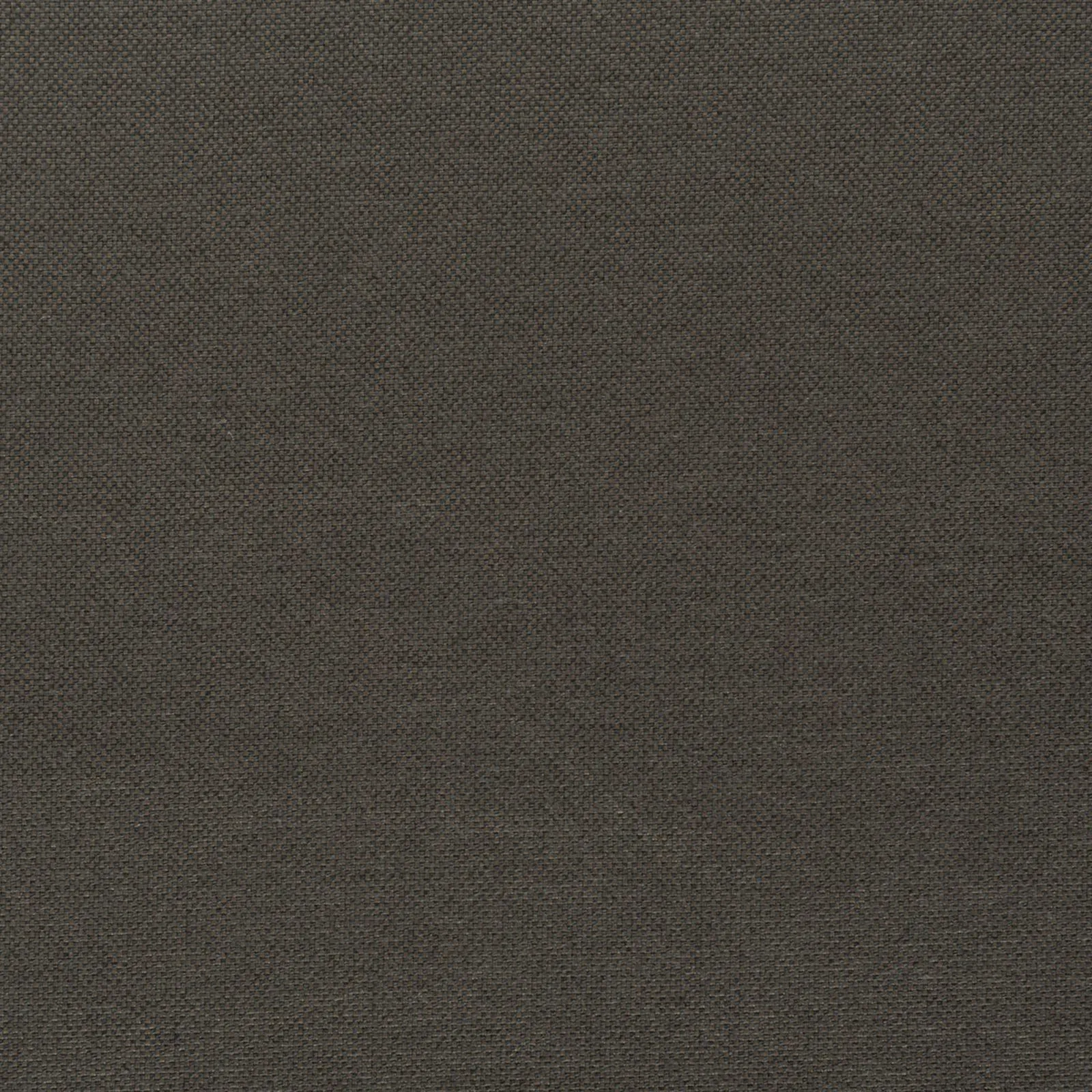 strong - brown - 7802609-10