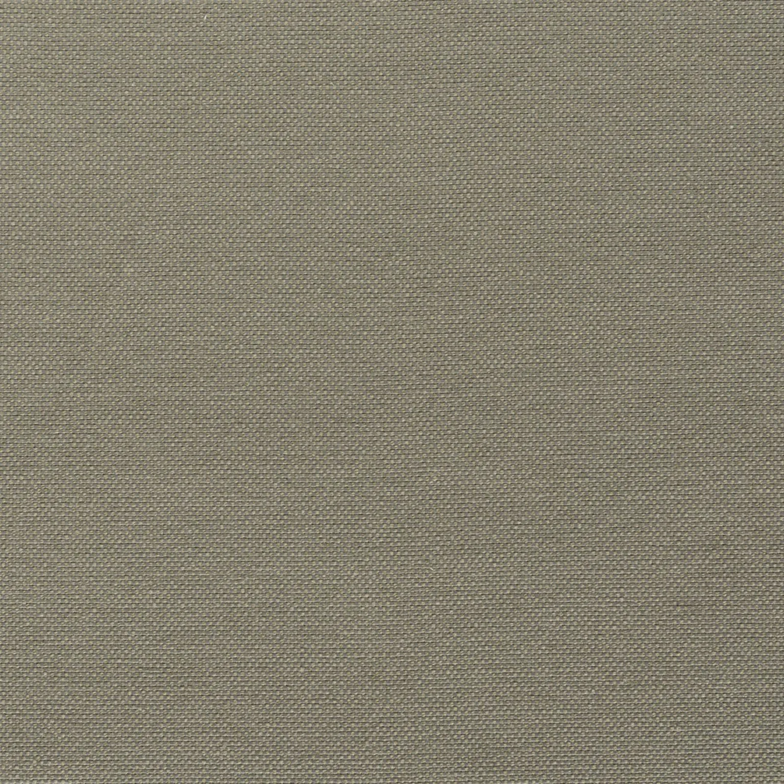 strong - khaki - 7802609-12