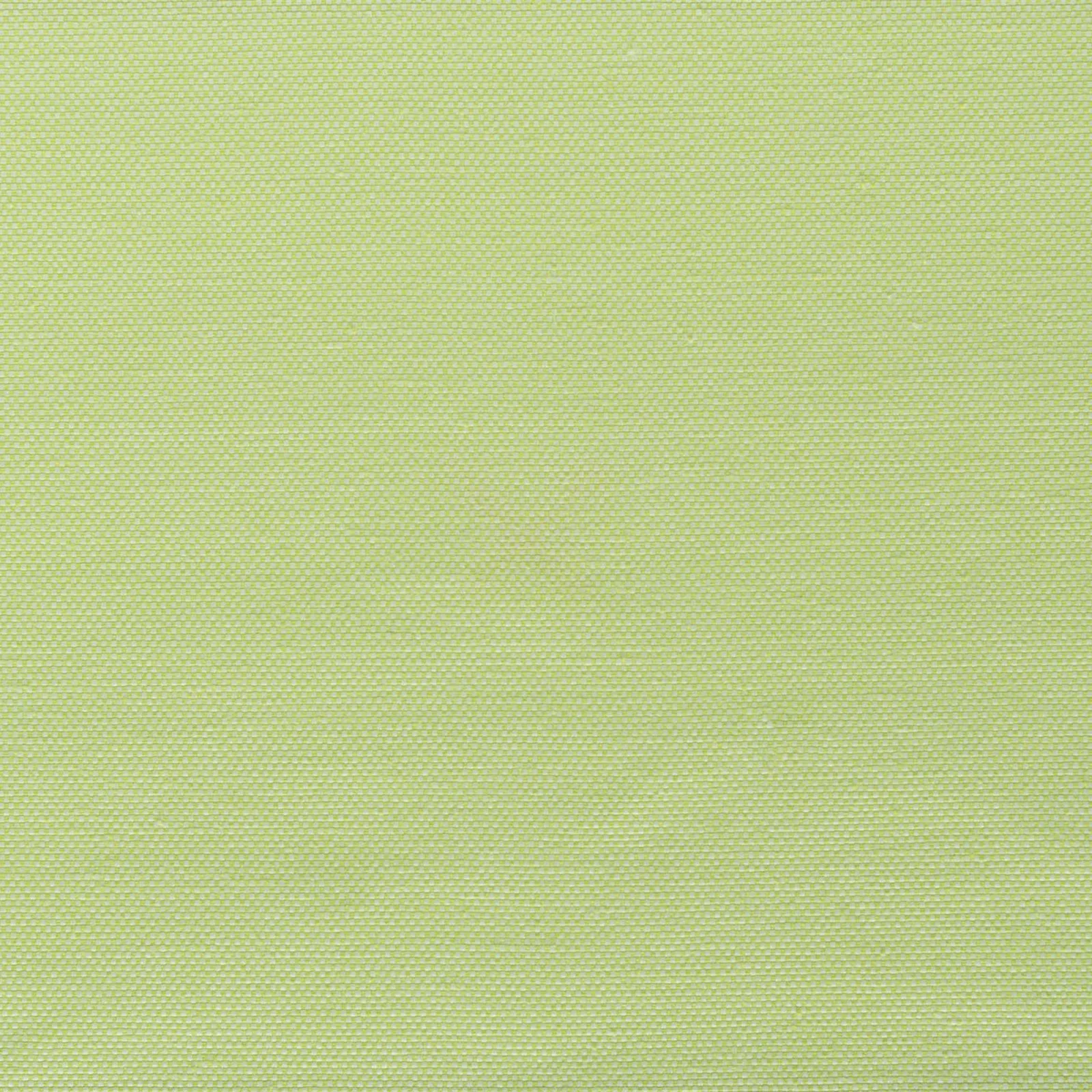 strong - lime - 7802609-28