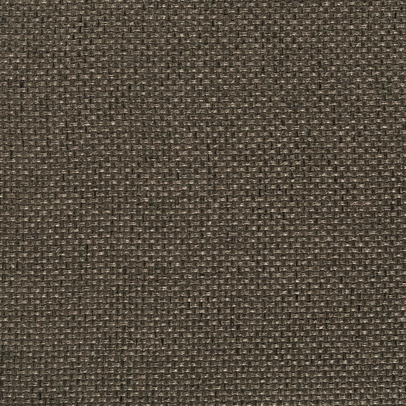 urban - brown - 2781633-01