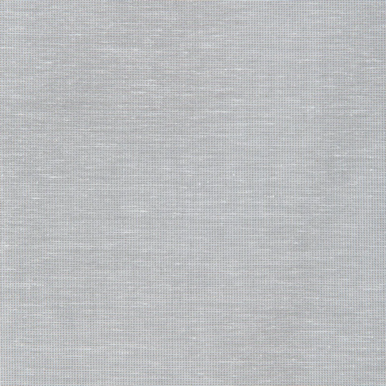 xenon - silver - 6501238-01