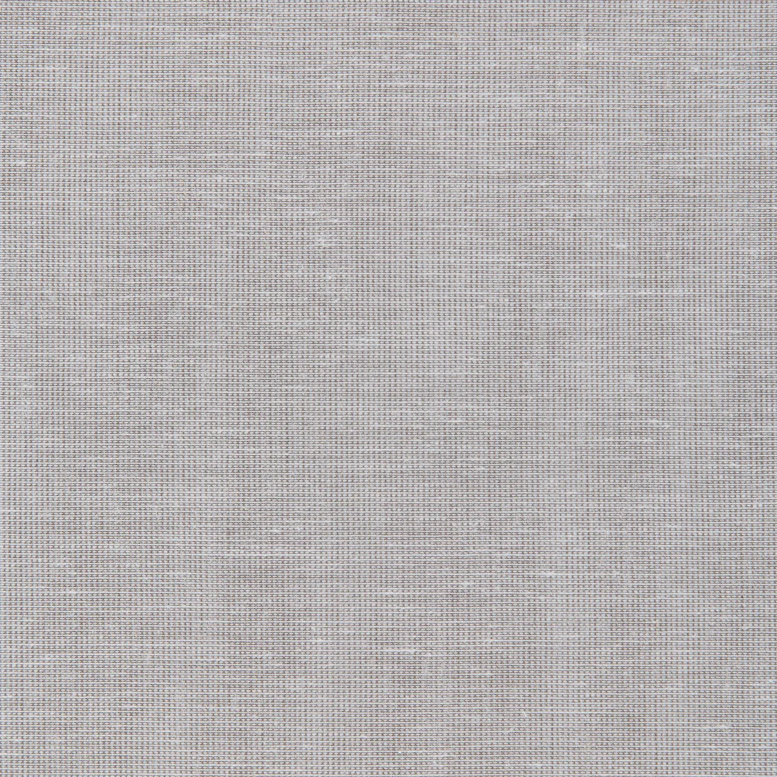 xenon - chocolate - 6501217-01