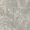 cassandra - sand - 3501819-01
