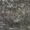 momentum - elephant - 9531868-01
