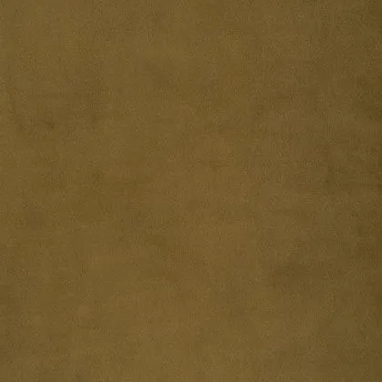 paradise - olive - 1483336-01