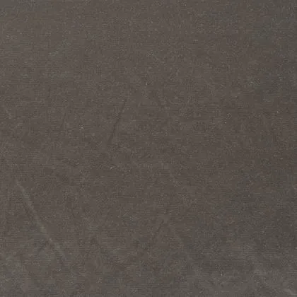 luxury - elephant - 4805068-01