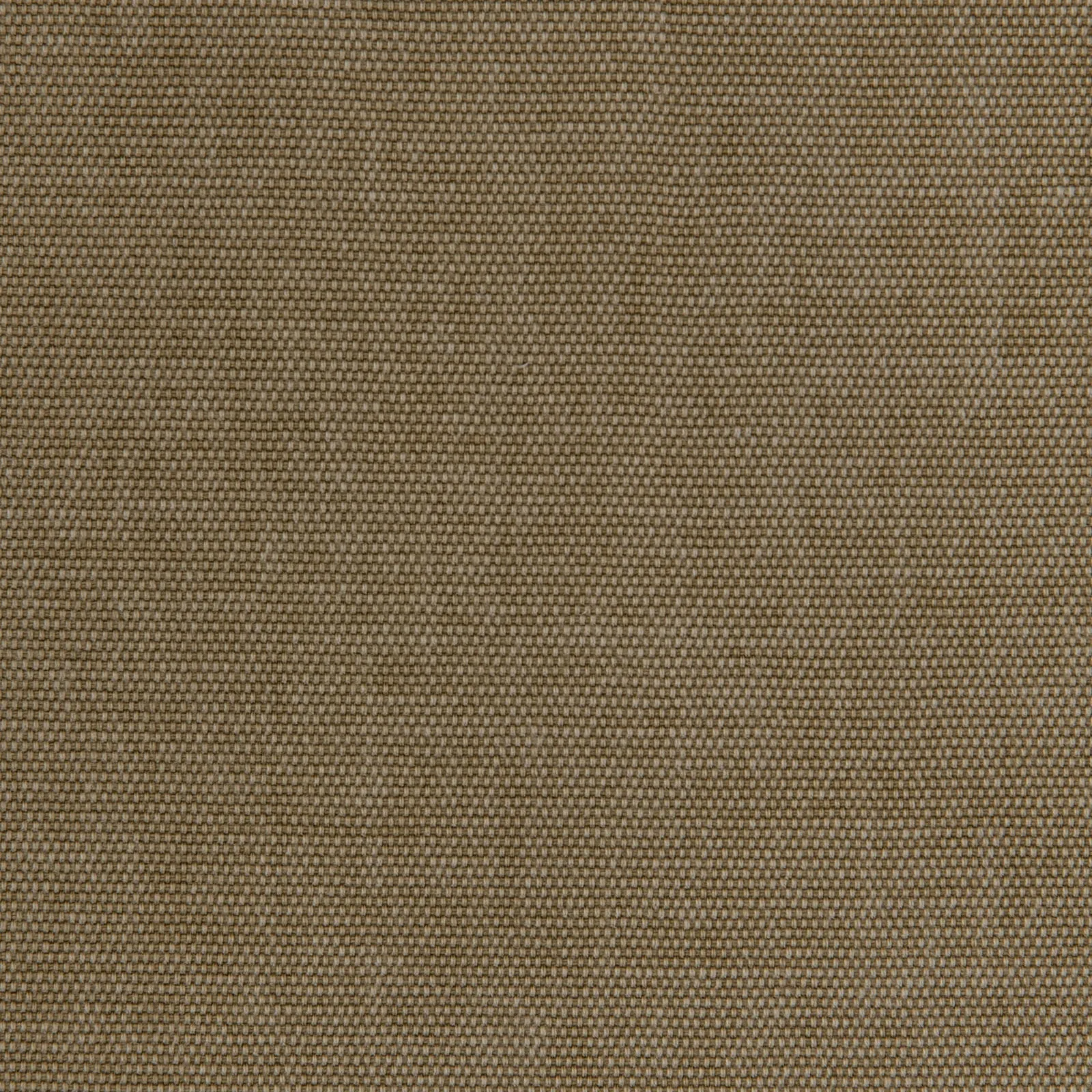 fortune - olive - 9706136-01