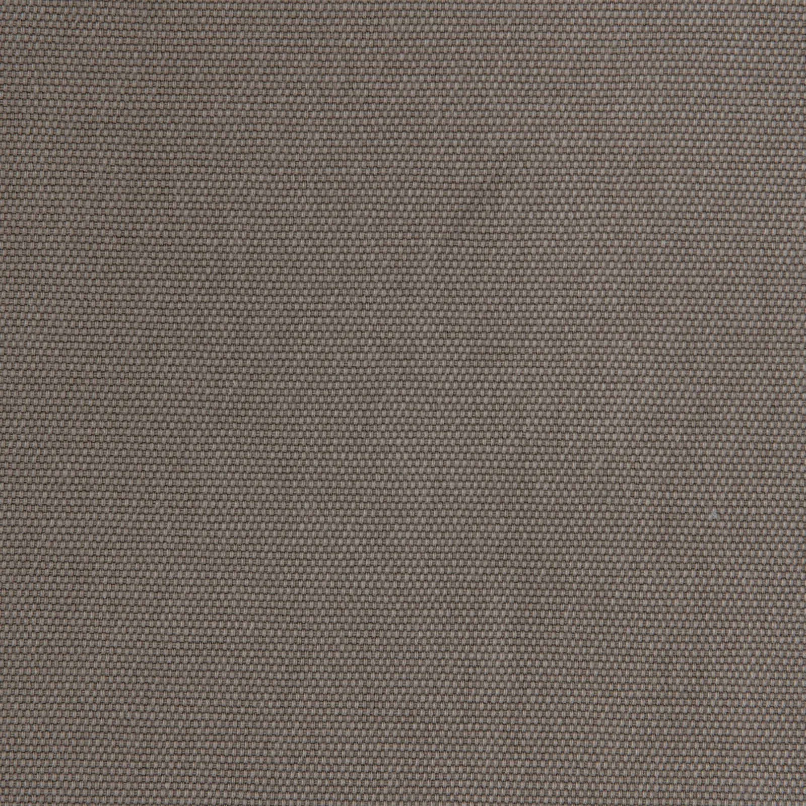 fortune - camel - 9706180-01