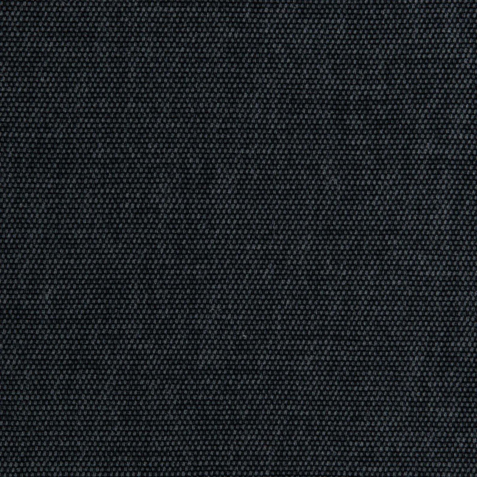 fortune - anthrax - 9706161-01