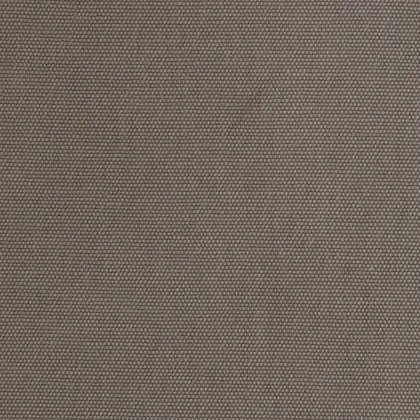 fortune - camel - 9706180-01