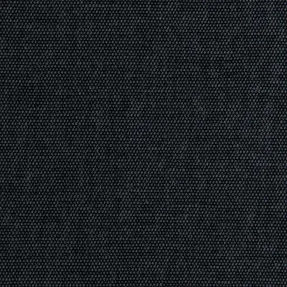 fortune - anthrax - 9706161-01