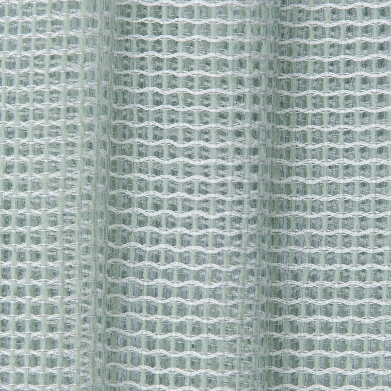 hot - peppermint - 1562323-01