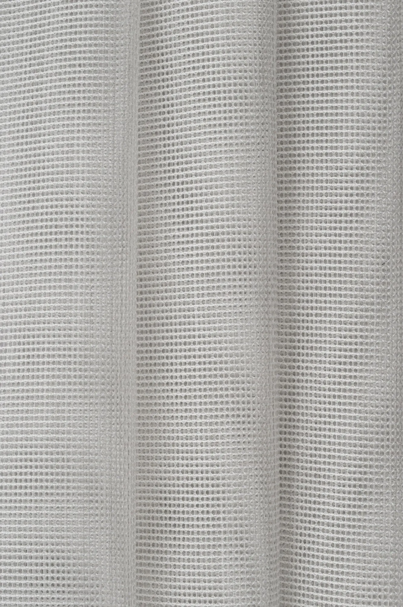 leomar - ice - 1361637-01