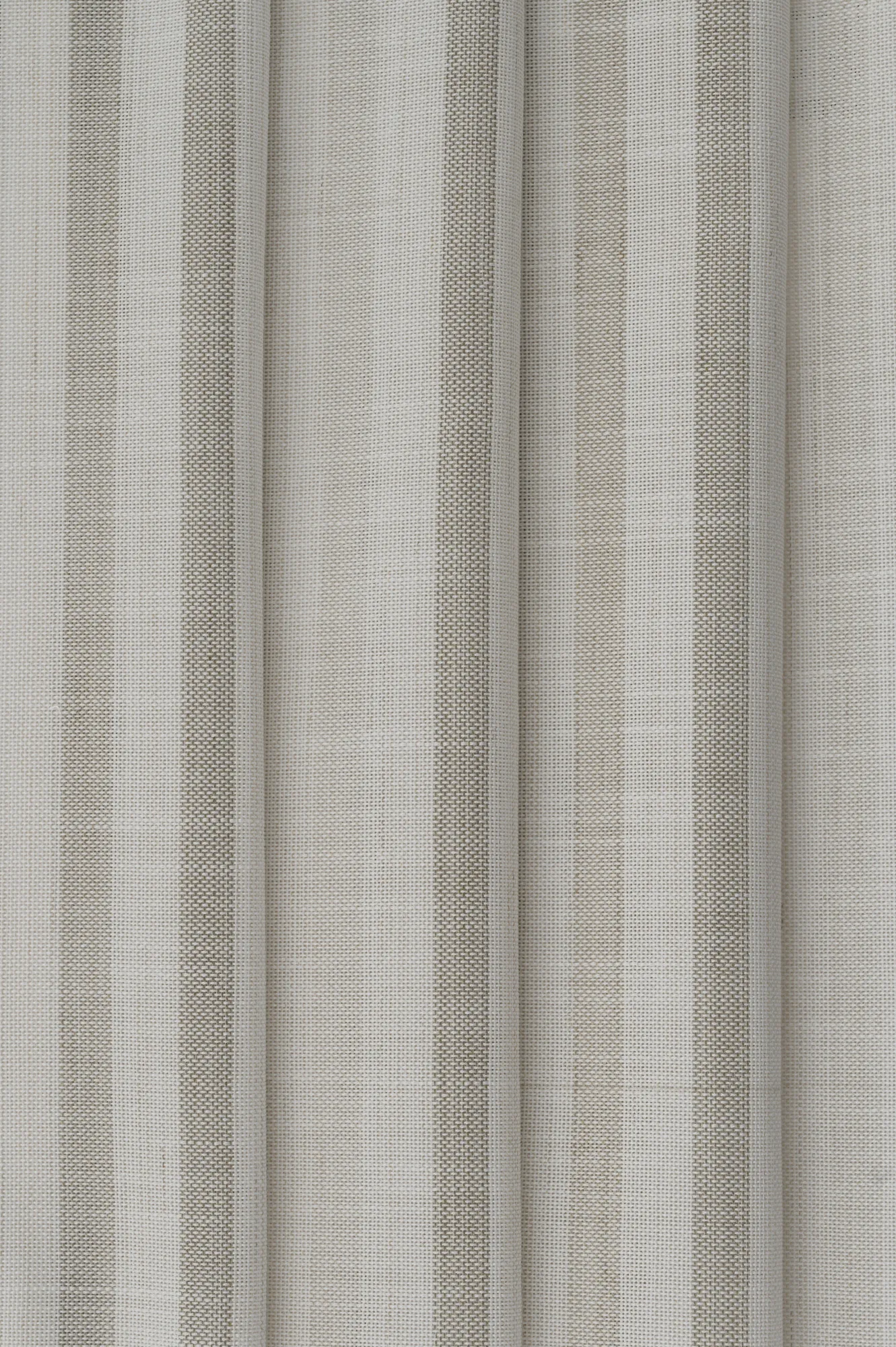 elf thin stripe - light beige - 3996913-01
