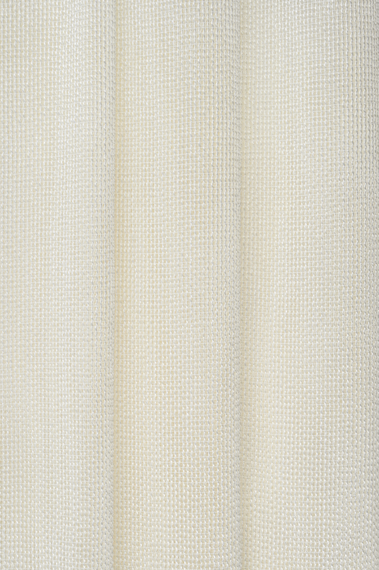 Ask - Ochre - 3101654-01