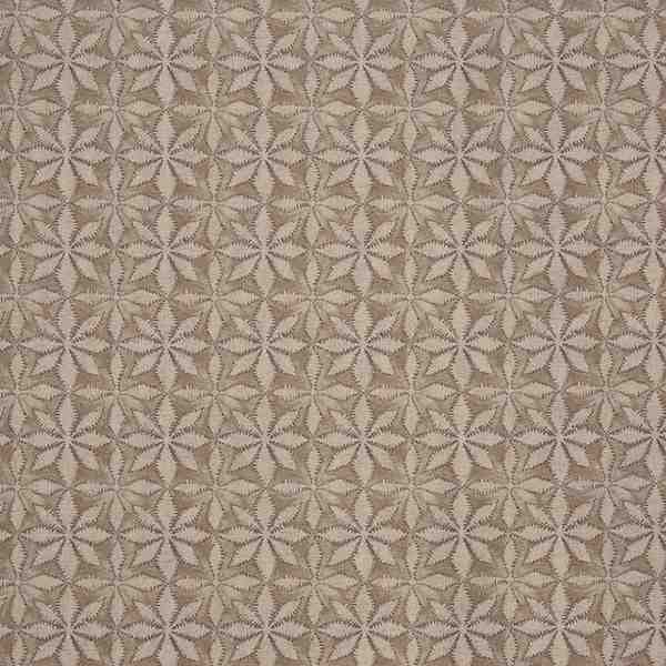 Haddon Nutmeg - 8804-112