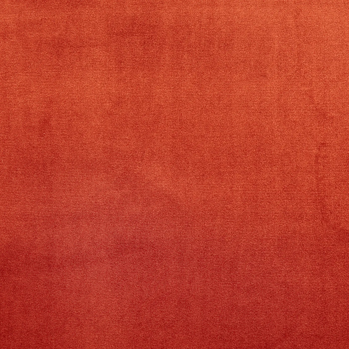 Velour Oxblood - 7150-338