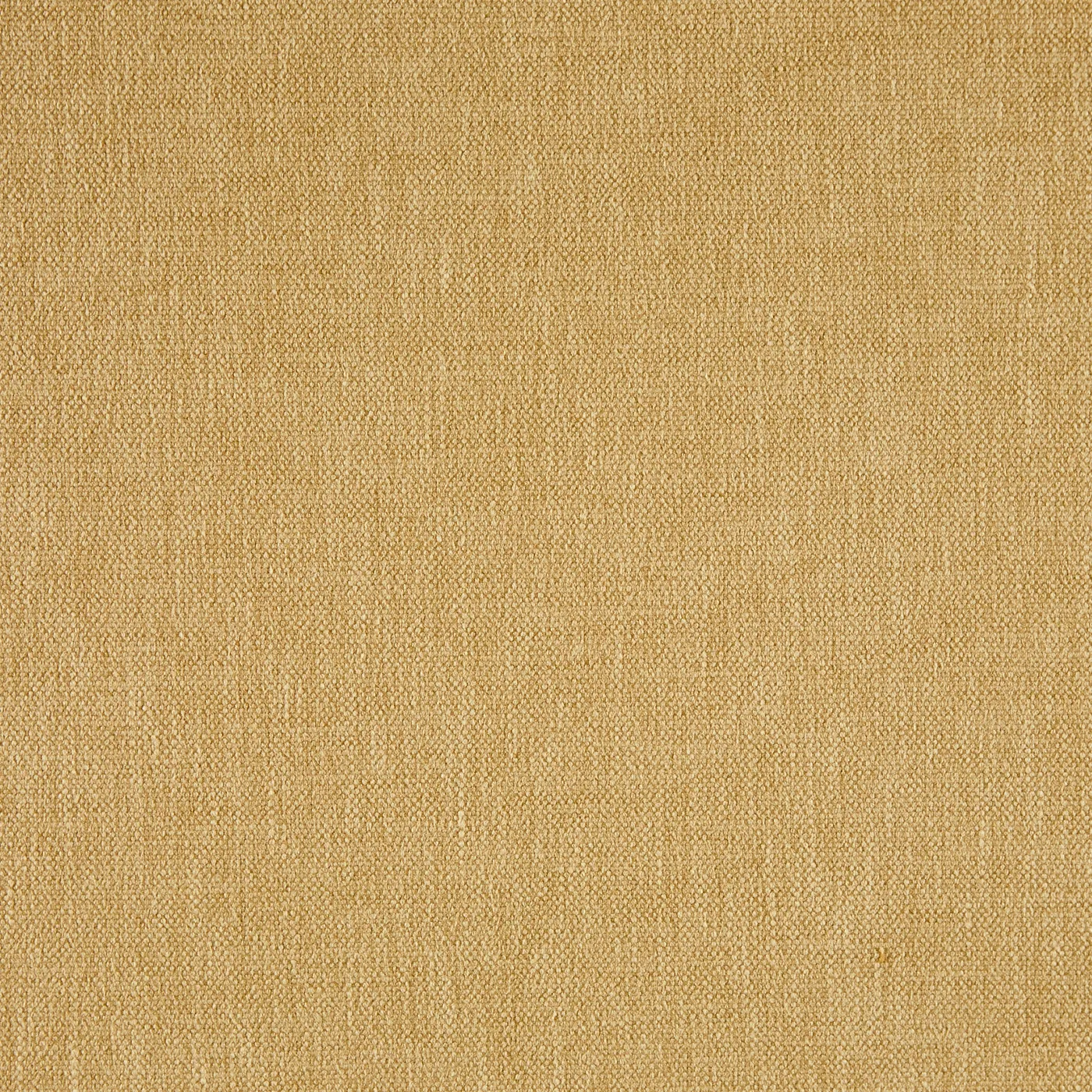 Oslo Corn - 7154-505