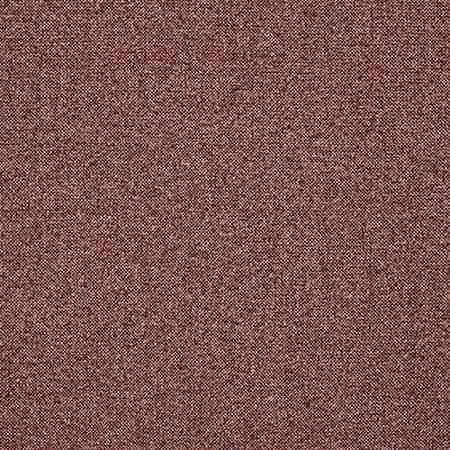Robertson Raspberry - 4073-201