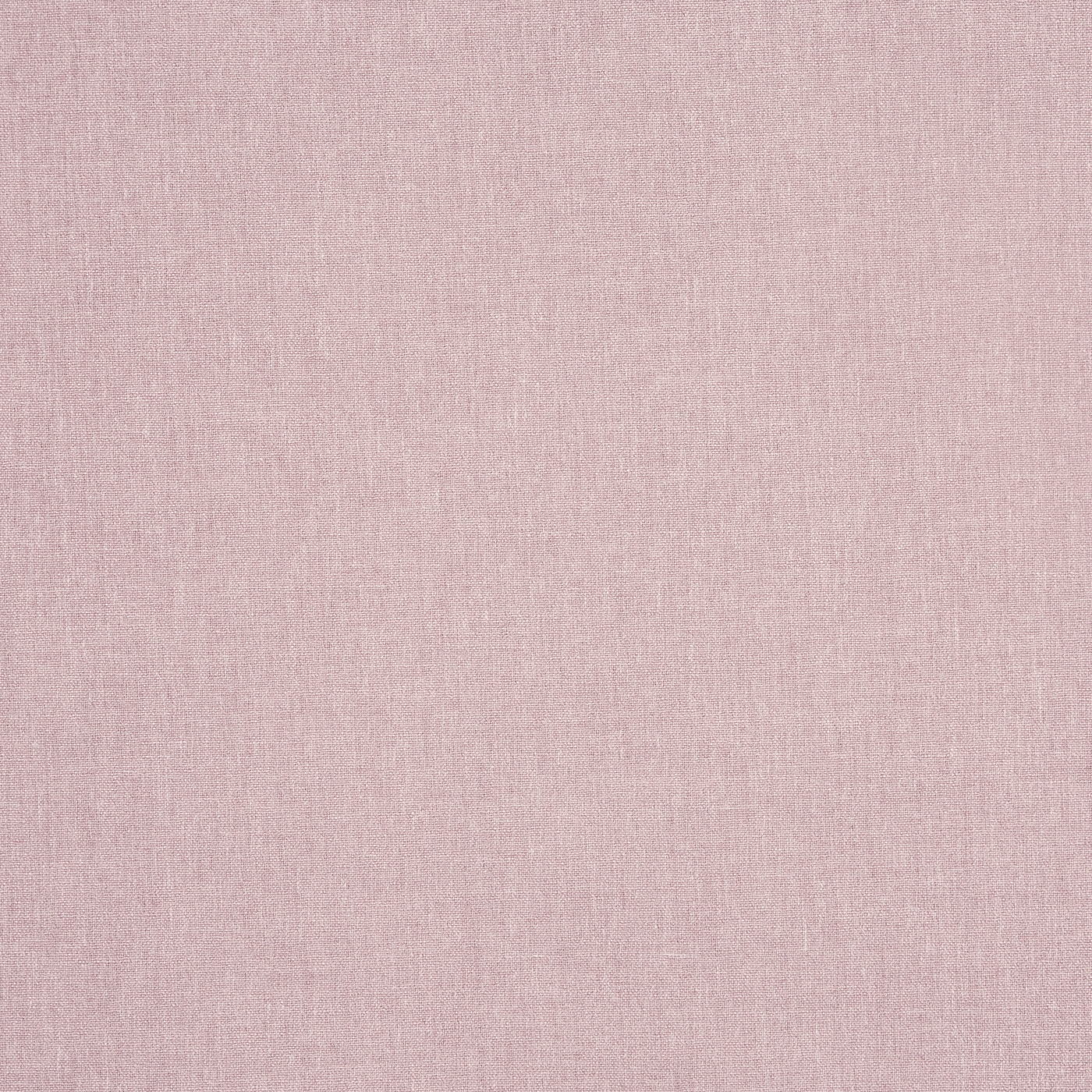 Saxon Rose - 7141-204