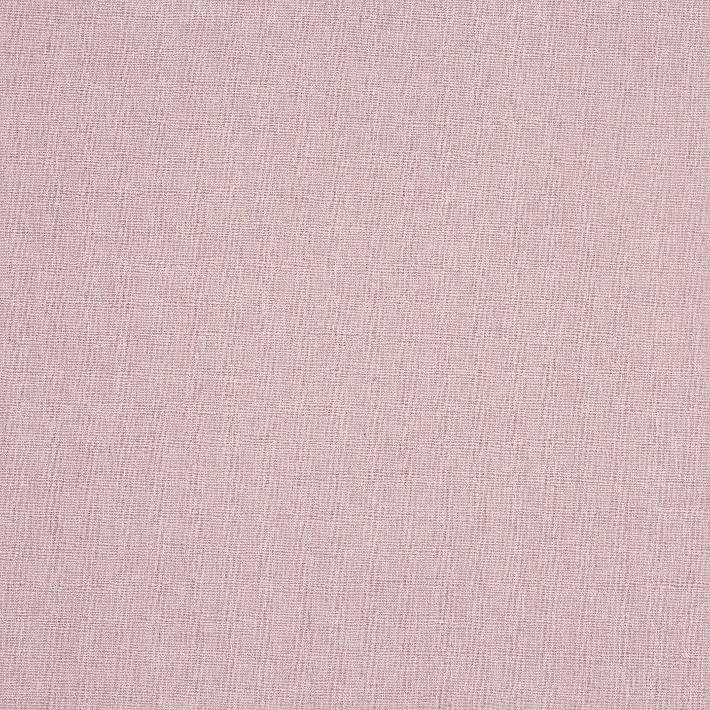 Saxon Rose - 7141-204