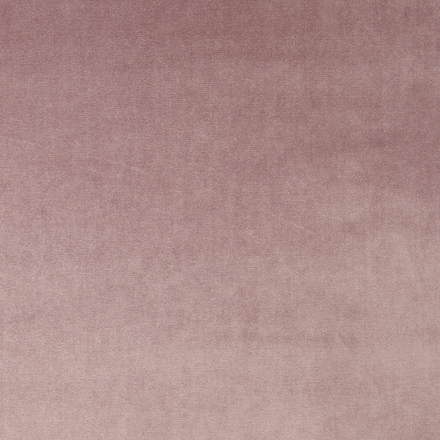 Velour Petal - 7150-213
