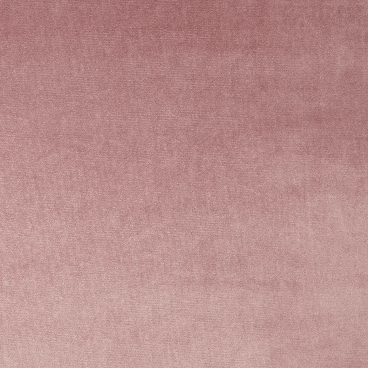 Velour Petal - 7150-213