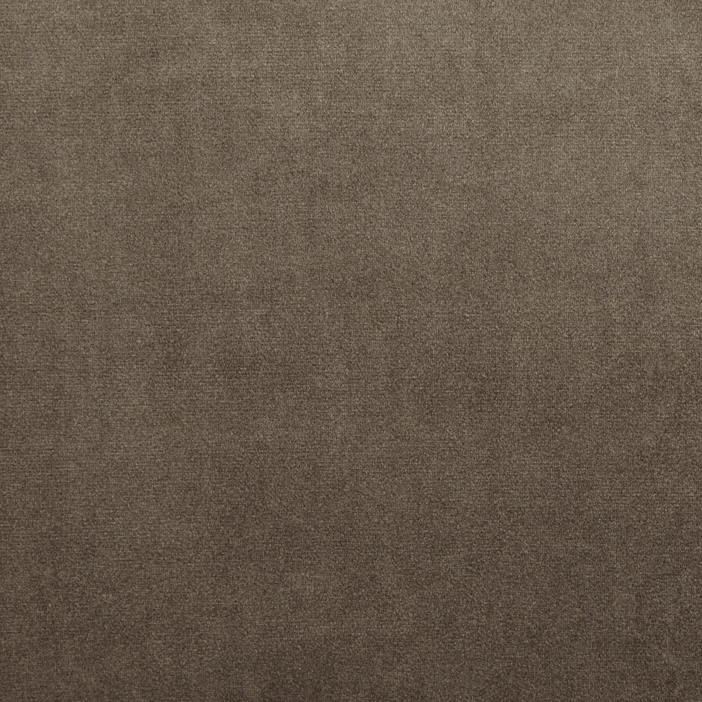Velour Camel - 7150-141