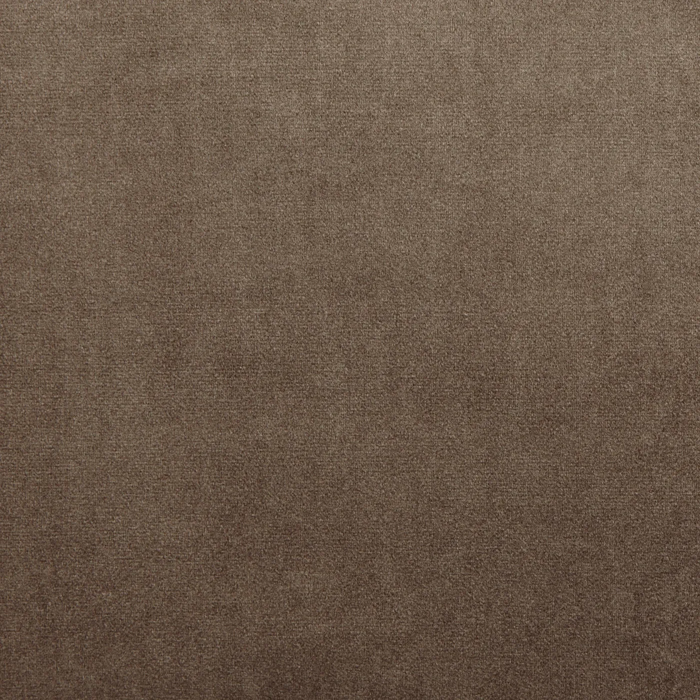 Velour Camel - 7150-141