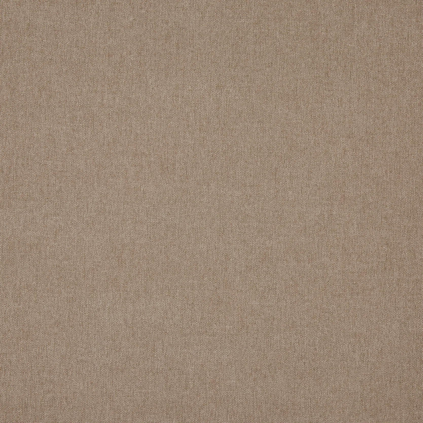 Buxton Cocoa - 7237-191