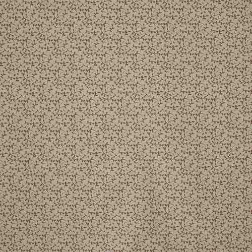Syon Nutmeg - 8808-112