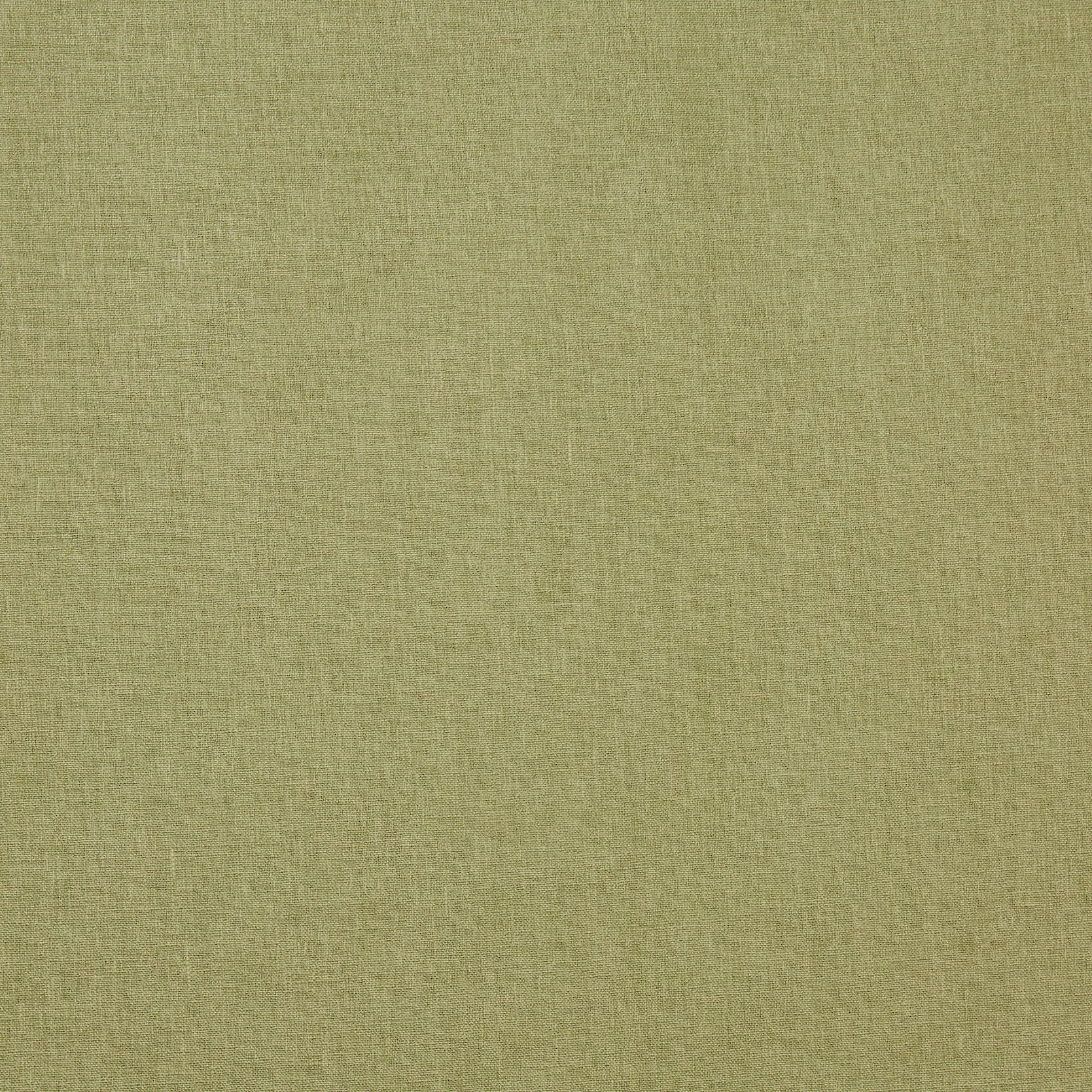 Saxon Wasabi - 7141-429