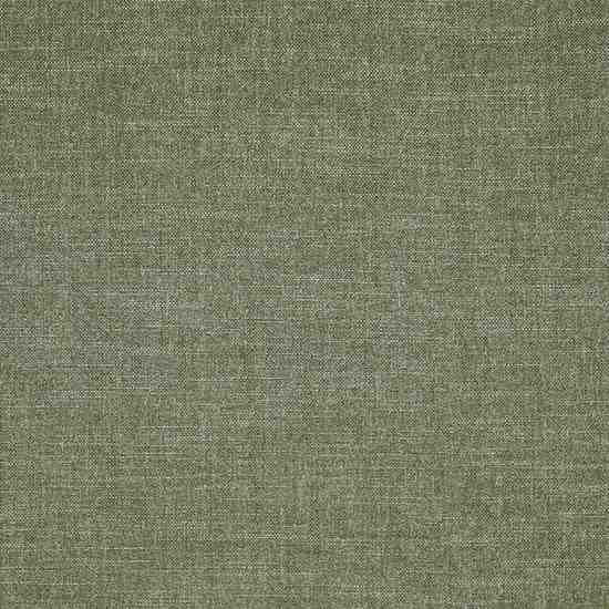 Lisbon Fennel - 7241-281