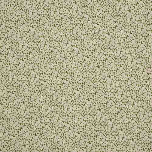 Syon Fennel - 8808-281