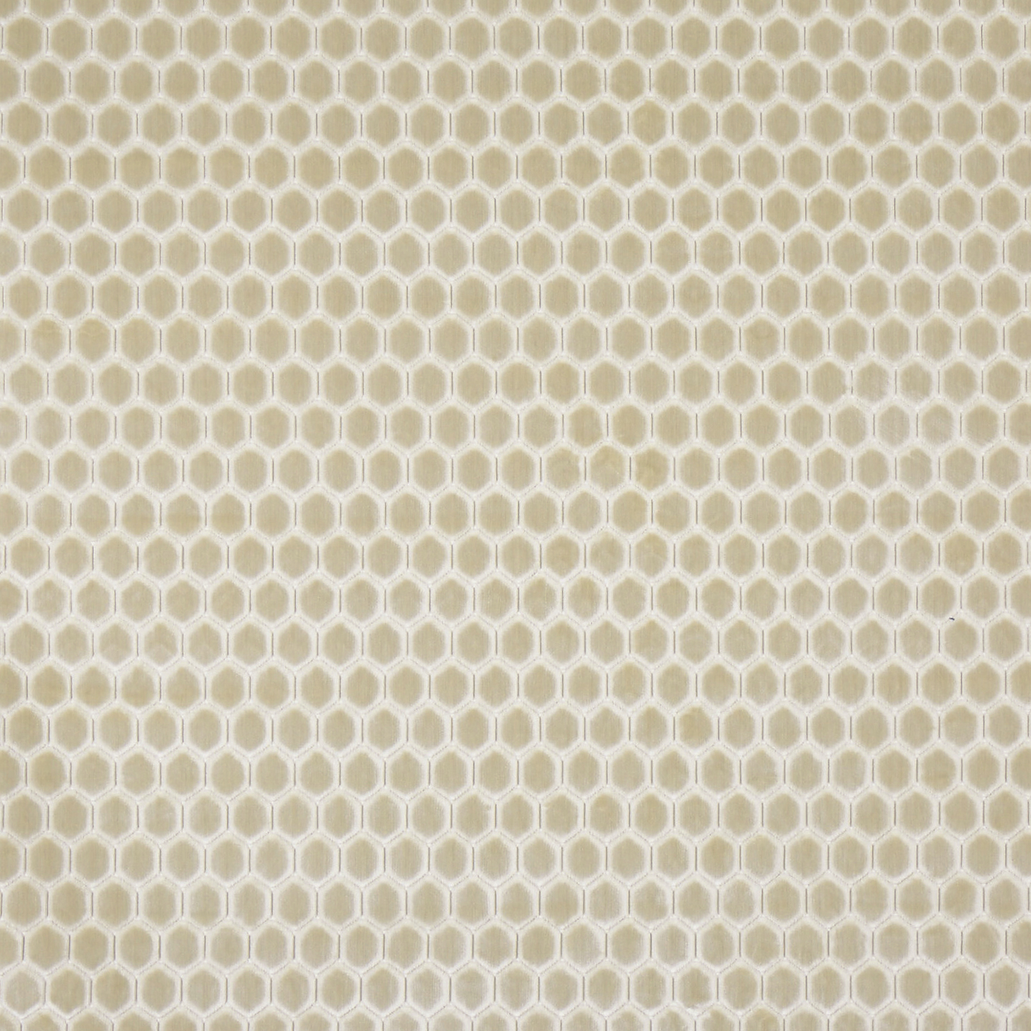 Prism