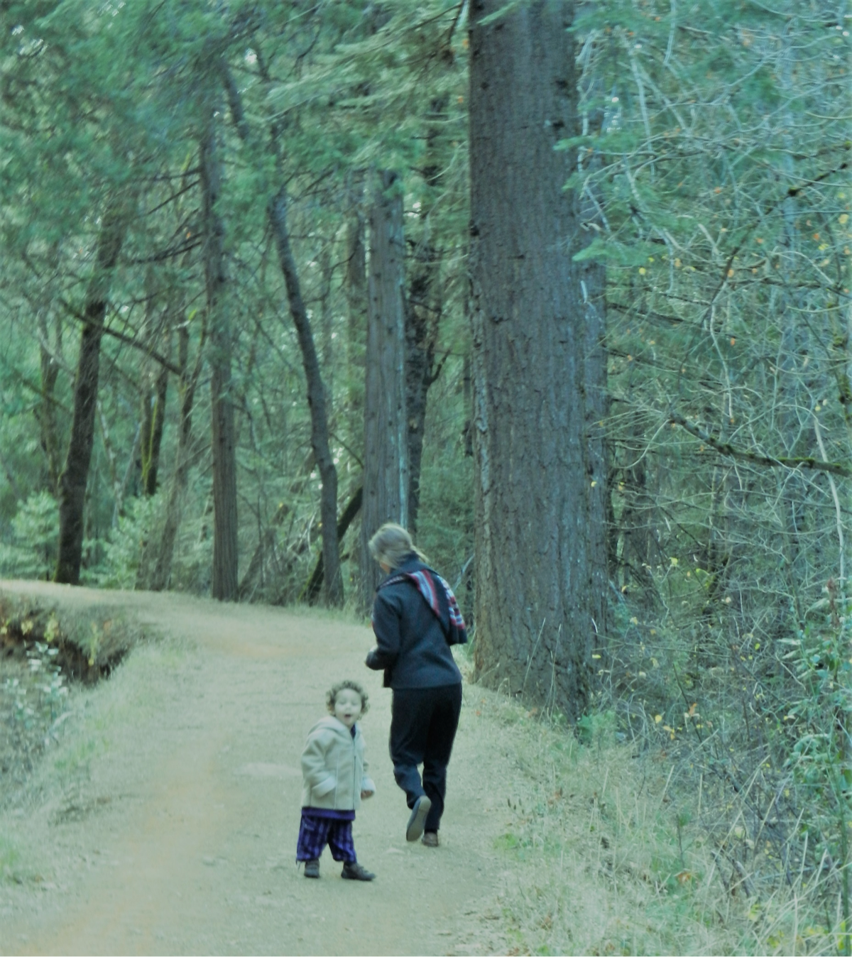 Woman and child walking on the forest path