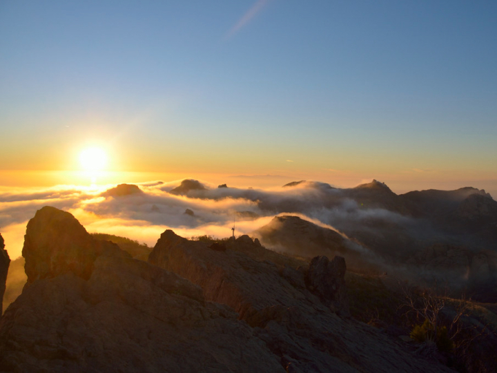 Woman and child walking on the forest path
